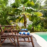 Luxury Villa In Cozumel With Pool & Hot Tub