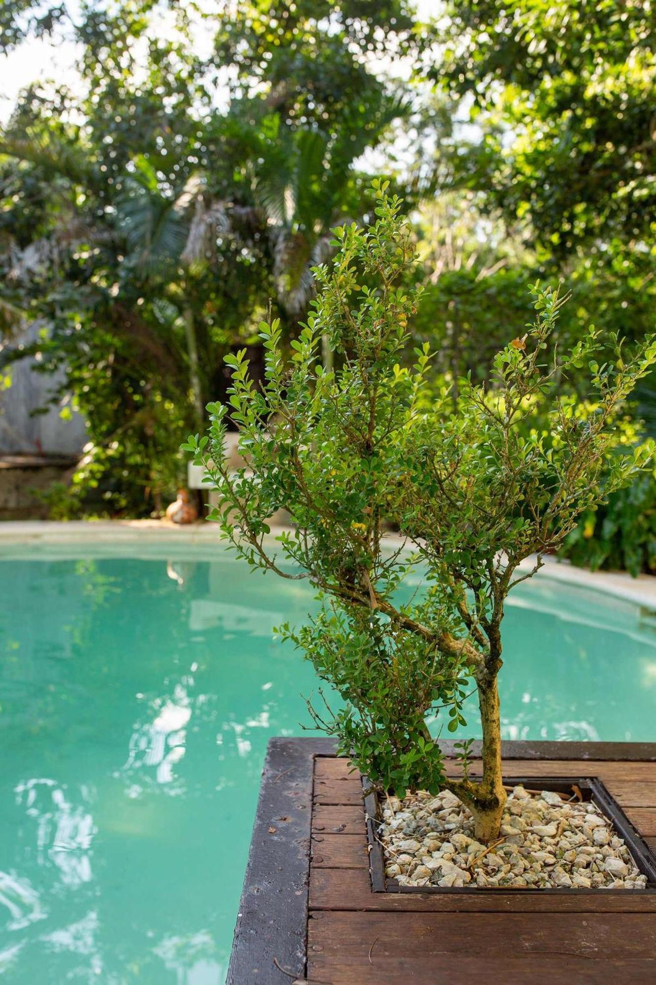 Luxury In With Pool & Hot Tub Villa *